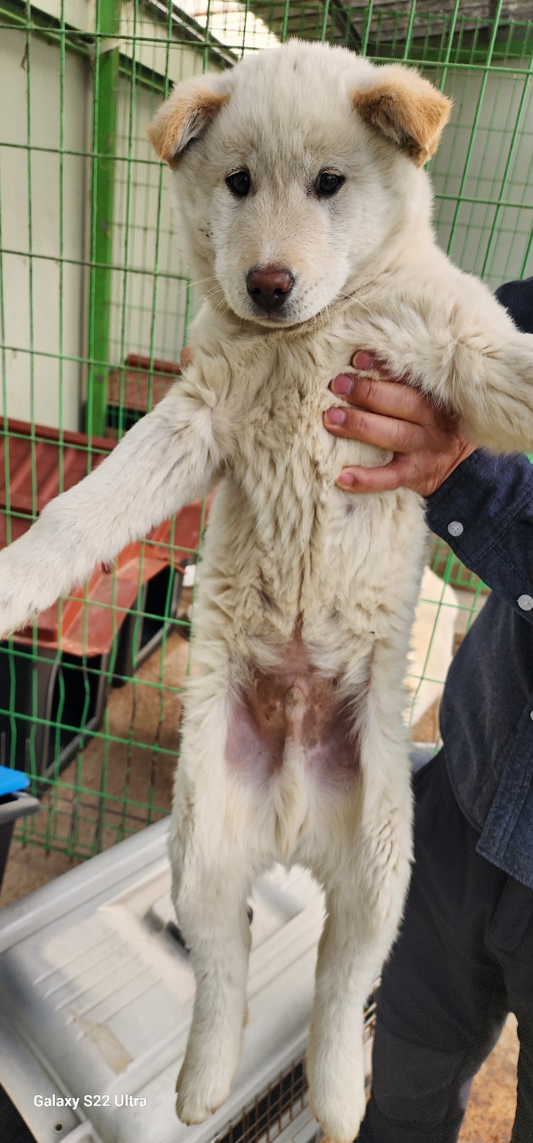 전북말산업복합센터_445471202500070